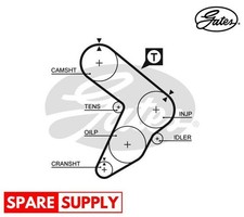 Cinghia distribuzione per FIAT