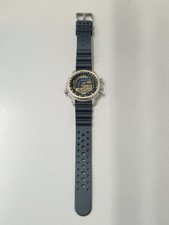 Casio vintage Surfing Timer
