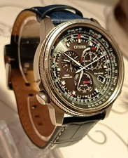 🏆 Citizen Perpetual Chrono