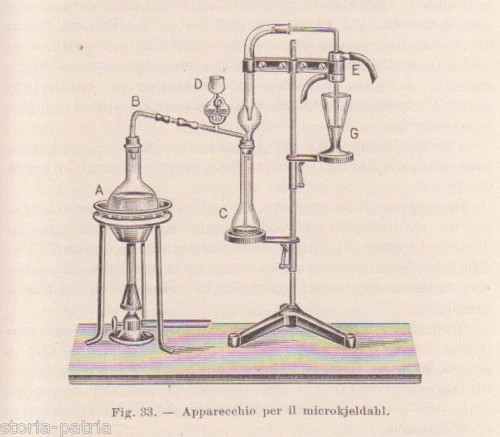 MEDICINA_MICROSCOPIA