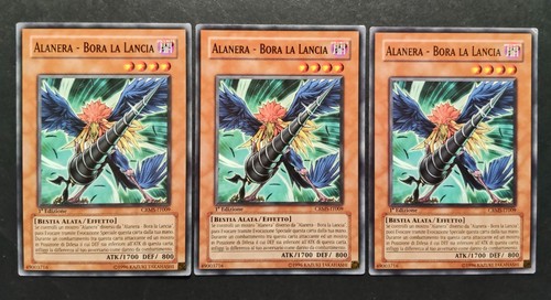 X alanera bora - 3,