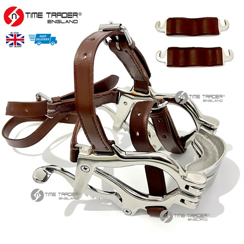 Pony equino dentale bocca - pony, di