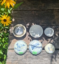 1 Tek Sing  Dosenpaar