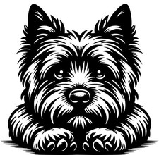 Adesivo cairn terrier - cairn,