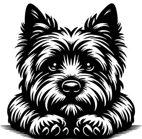 Adesivo cairn terrier - adesivo,