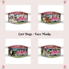 I Love Cart Maschere Viso Foto