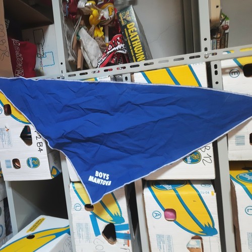 Foulard sciarpa ultrà boys - ultrà,
