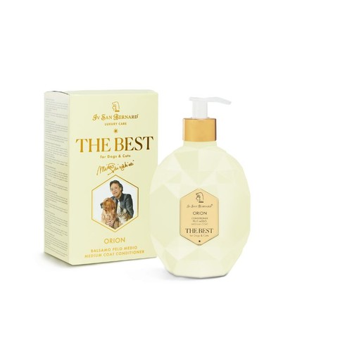 San bernard the best - iv,