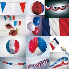 Francia Decorazione Party Blu