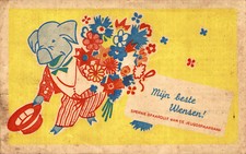 MAIALINI UMANIZZATI - PORCELETS, PIGLETS - VG - #005