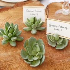 20pz segnaposto forma piantine