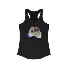 Parson Jack Russell Terrier