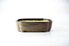 Vaso bonsai artigianale