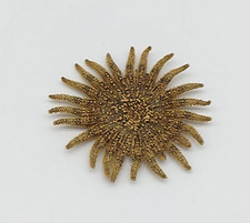 Stella Marina Atzeca