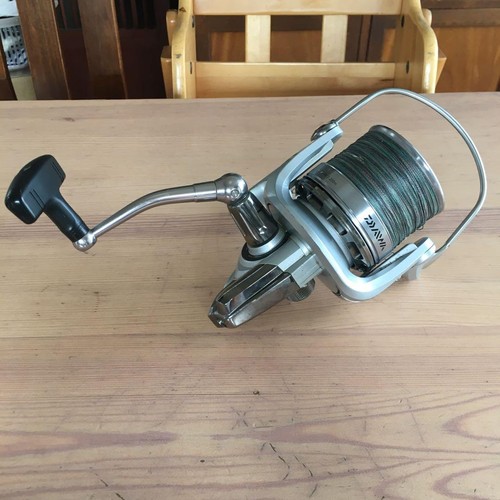 Mulinello spinning daiwa - mulinello,