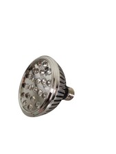 Lampadina PAR30 LED E27 20