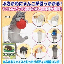 Serie Putitto Gatti a pelo