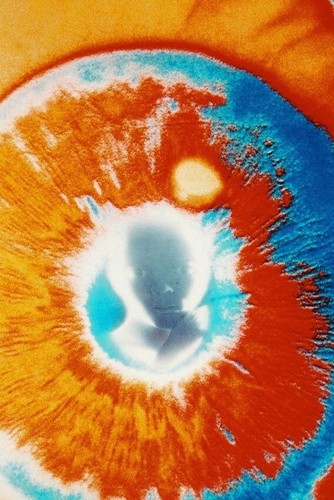 78598 2001 space odyssey - 78598,