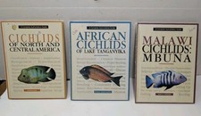 VINTAGE AFRICAN CICHLIDS OF
