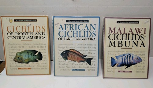 Vintage african cichlids - african,