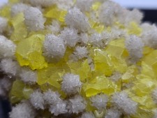 Zolfo su Aragonite, Cozzo Disi, Sicilia