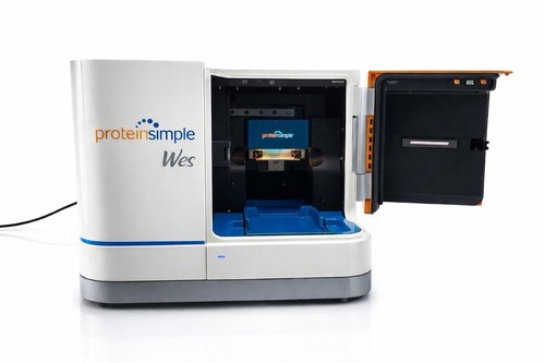 Proteinsimple wes sistema - proteinsimple, di