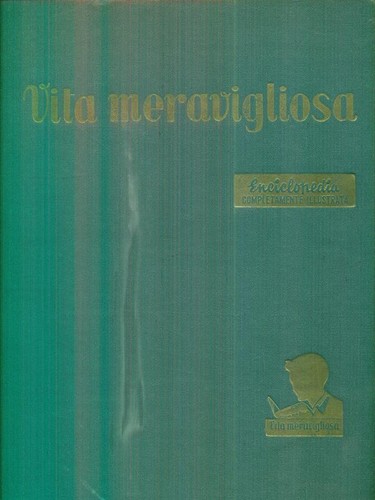 Vita meravigliosa vol 2 - vol,