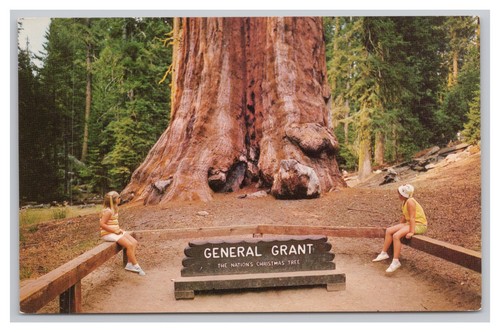 General grant tree kings - general,