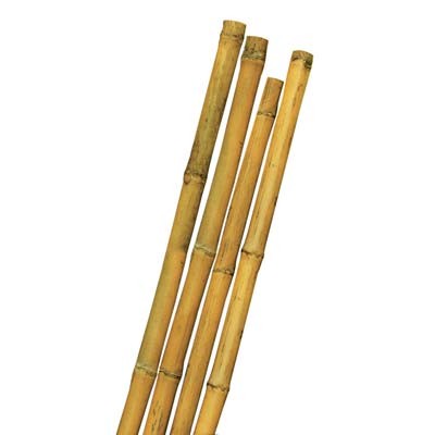 Tutore canna bamboo stars mm - canna,