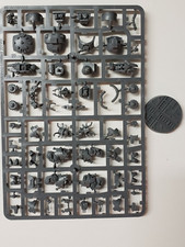 Luther Pattern Excavation