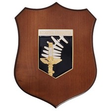 CREST AERONAUTICA MILITARE -
