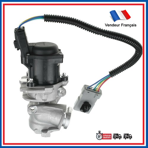 Vanne egr compatible - egr, ford