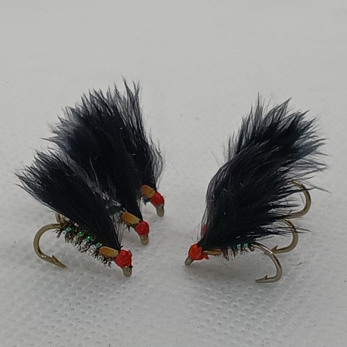 Cormorano nero holo taglia - nero, e
