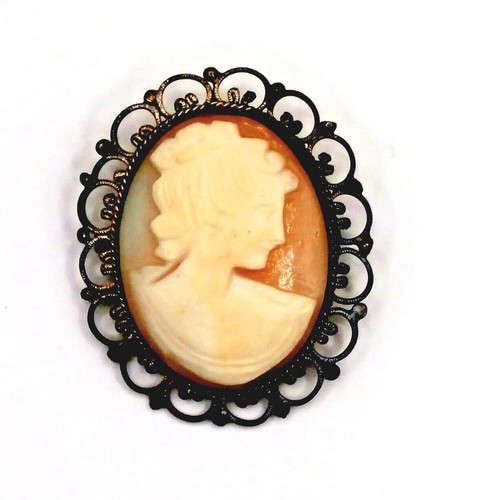 Art 126 cameo spilla ciondolo - cameo,