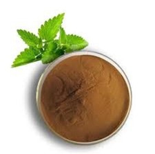 Estratto foglie menta - estratto,