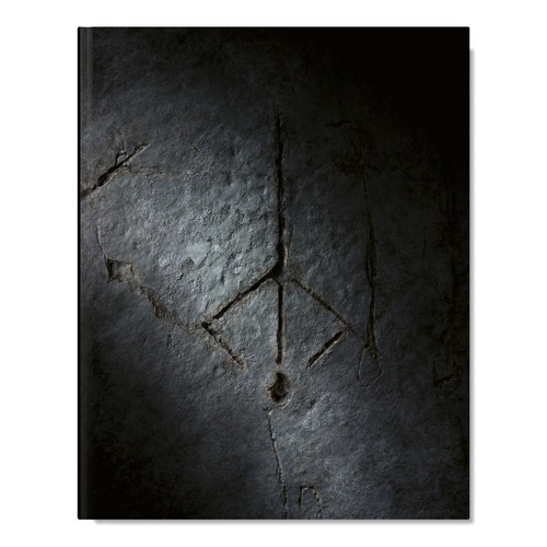Bloodborne complete guide - complete, –
