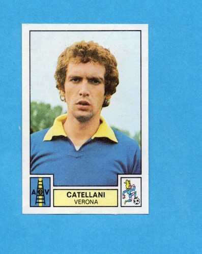 Panini calciatori - panini,