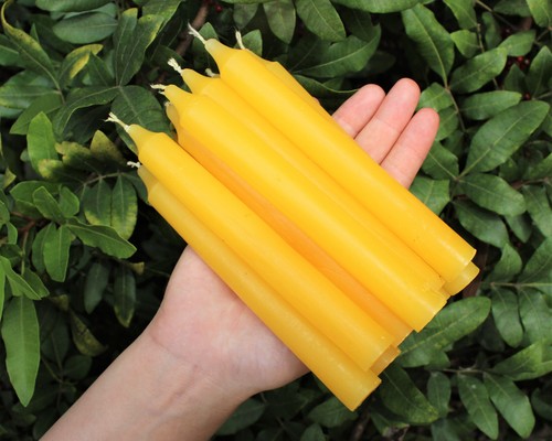 Candele coniche gialle - 36,