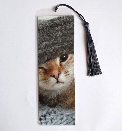 Cappello bianco zenzero tabby