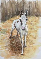 Quadro originale a guazzo -