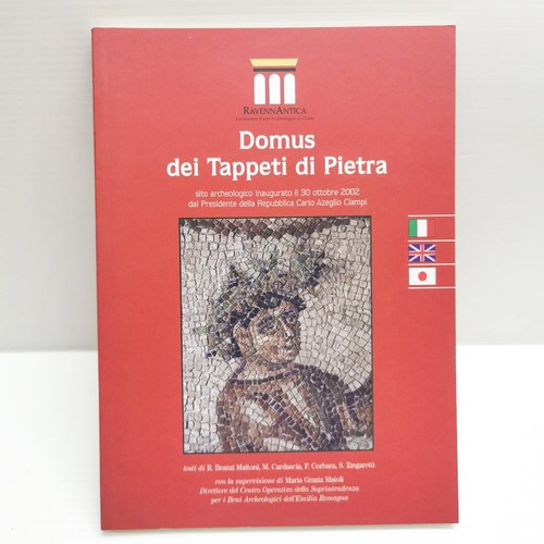 Domus dei tappati - di, pietra