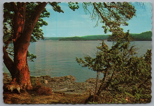Isole san juan - juan, vista