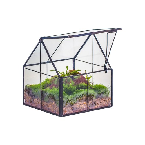Mini terrario vetro con - mini,