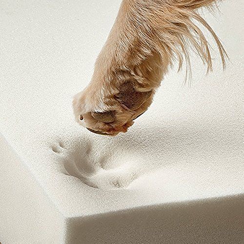 Cuscino cuccia cane memory
