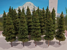 ALBERI DI MOOSE CREEK - Alberi