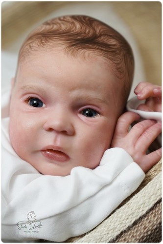 Studio doll boy reborn - studio-doll, mayven