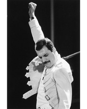 Giclée su tela 16x20 Queen Freddie Mercury