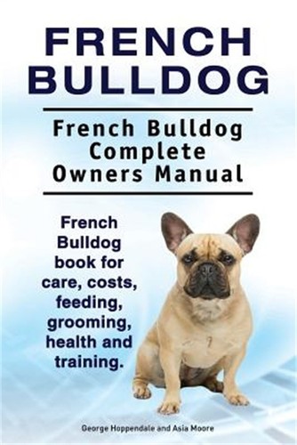 French bulldog - french,