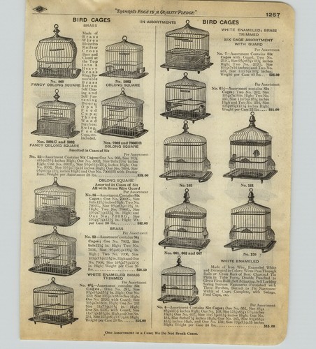 1918 carta pubblicitaria - carta, 4