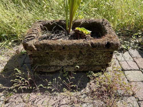 Antica fioriera tufo - antica,